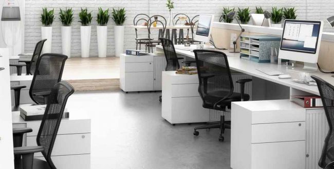 Mein alternativer Text